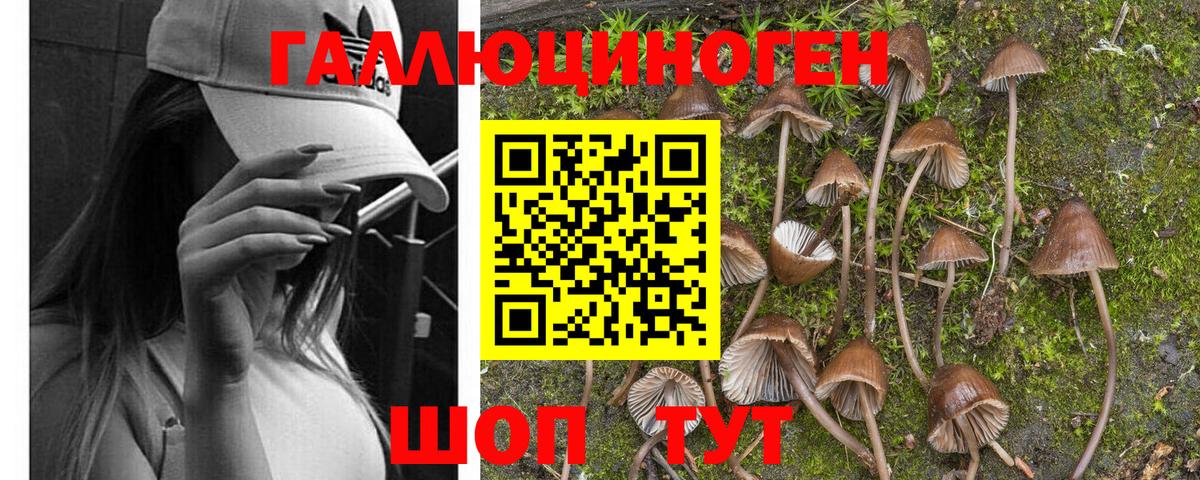 Галлюциногенные грибы GOLDEN TEACHER Кузнецк