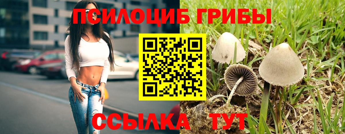 Псилоцибиновые грибы Magic Shrooms  Вход с VPN  Кузнецк 
